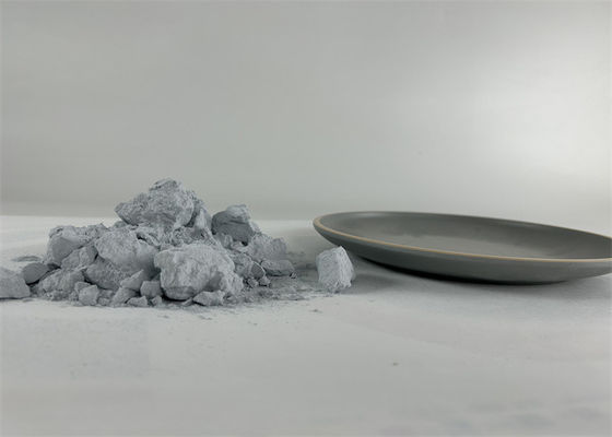 Imitazione porcellana cucchiaio Amino plastica modellata cristallo bianco campione fornito