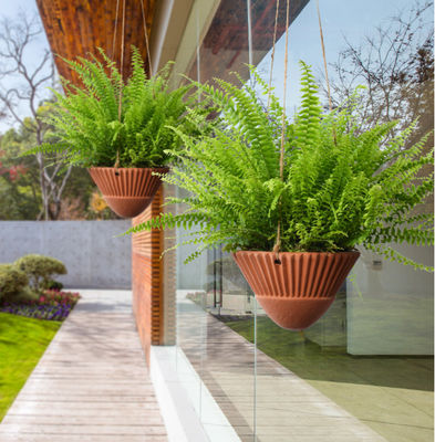 Piantatrici per piante d'interni, piantatrici per piante in terracotta, piantatrici per piante in ceramica, piantatrici per piante in telaio, piantatrici per piante in telaio