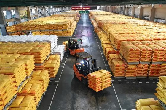 Melammina cristallina inodore, plastica in polvere, durata di conservazione due anni